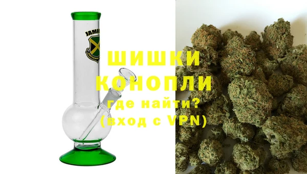 PSILOCYBIN Рославль