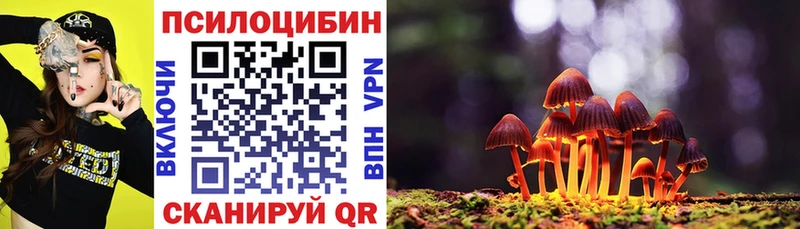 блэк спрут как зайти  Яранск  Псилоцибиновые грибы Magic Shrooms 